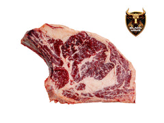 Black Urus - Costata