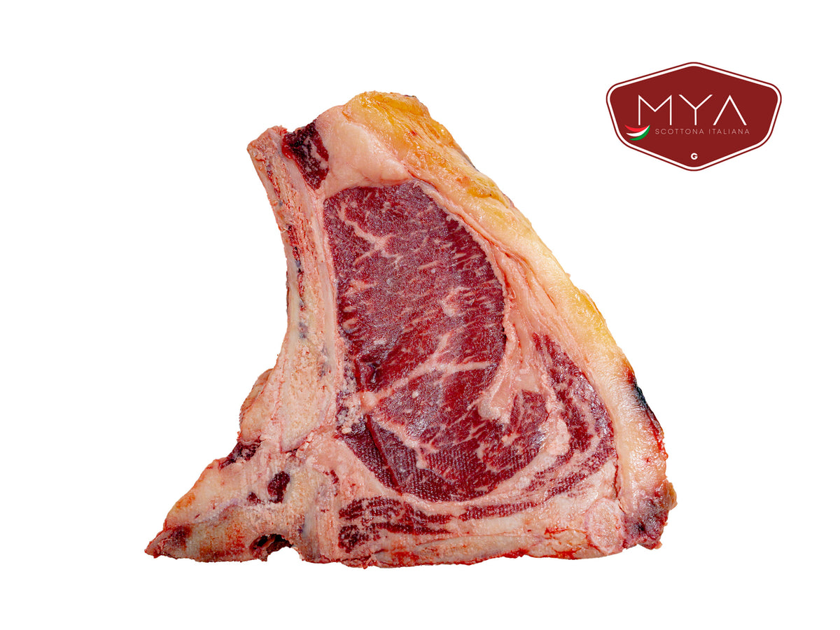 Mya - Costata